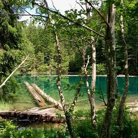 Waldnerhuette 度假居