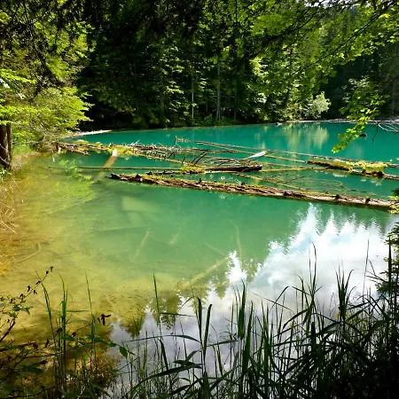 度假居 Waldnerhuette *