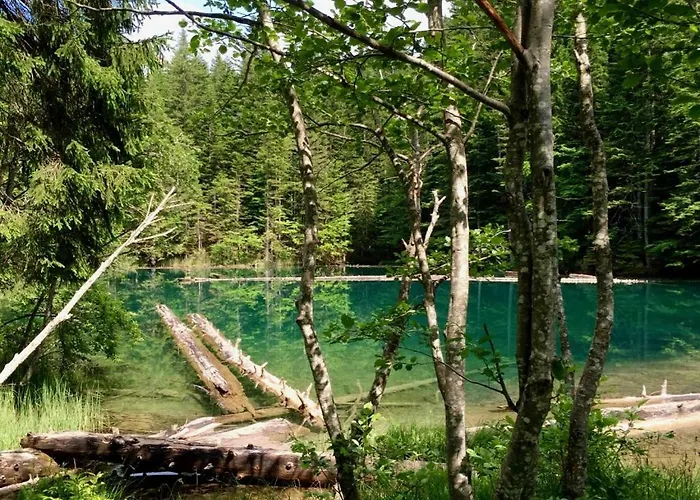 Waldnerhuette בית נופש