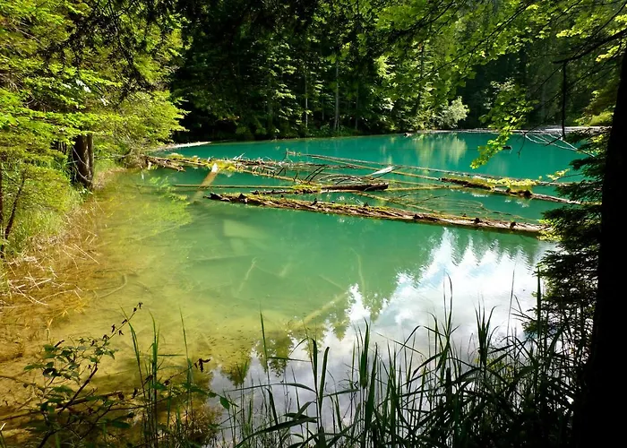 Сasa de vacaciones Waldnerhütte *